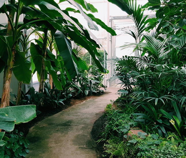 Ilustrasi Sertifikasi Greenship